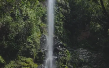 Stock Footage Waterfall In Woods