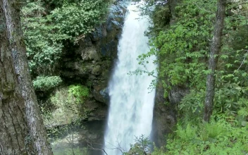 Stock Footage Waterfall In The Woods