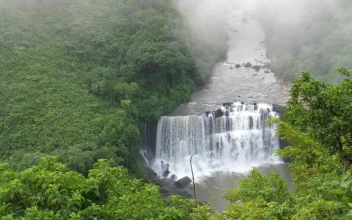 Stock Footage Waterfall In The Middle Of The Jungle In Africa