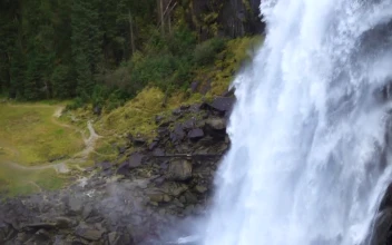 Stock Footage Waterfall In Slow Motion In The Forest
