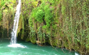 Stock Footage Waterfall In A Covered Cenote Vegetation