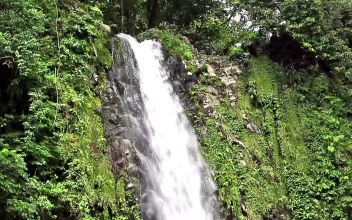Stock Footage Waterfall At The Edge Of A Forest