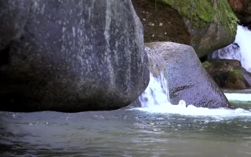 Stock Footage Water Stream And Rocks