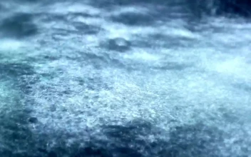 Stock Footage Water Splashing In A Pool