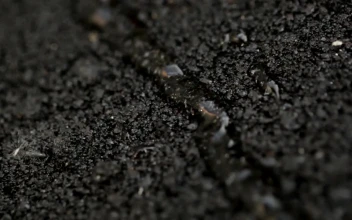Stock Footage Water Running On The Road Surface
