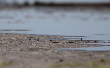 Stock Footage Water Rising In The Ground