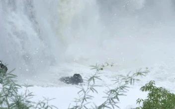 Stock Footage Water From A Rocky Waterfall Falling To The Bottom Of