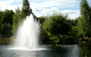 Stock Footage Water Fountain Blowing In The Wind