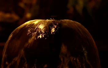 Stock Footage Water Fountain At Night