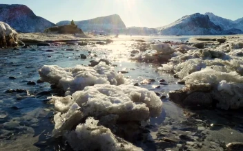 Stock Footage Water Flowing Through Creek In The Winter