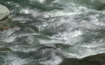 Stock Footage Water Flowing Down The River In Slow Motion