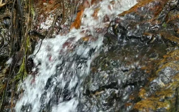 Stock Footage Water Flowing Down A Cave Wall