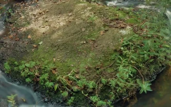 Stock Footage Water Flowing Between Rocks