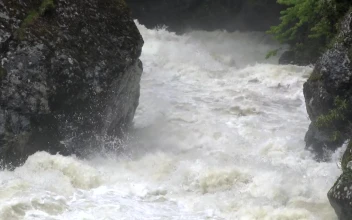 Stock Footage Water Flowing And Crashing Down The River