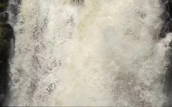 Stock Footage Water Falling In The Woods Slow Motion