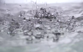 Stock Footage Water Drops Creating Ripples