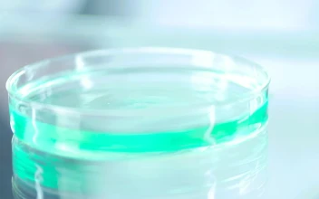 Stock Footage Water Dropper On The Lab