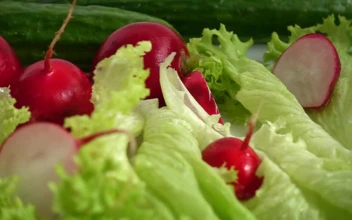 Stock Footage Washing Salad Ingredients