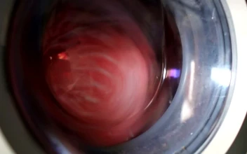 Stock Footage Washing Machine Spinning Quickly