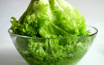 Stock Footage Washing Lettuce Before Making A Salad