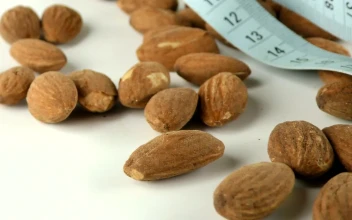 Stock Footage Walnuts And A Blue Measuring Tape