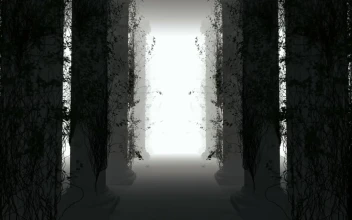 Stock Footage Walking Through A Forest With Virtual Fog D Loop