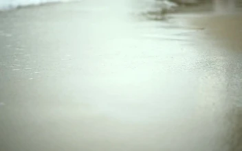 Stock Footage Walking On Wet Sand And Waves