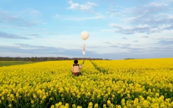 Stock Footage Walking On A Flower Field With A White Balloon In