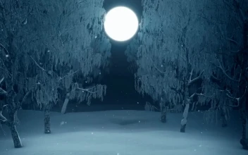 Stock Footage Walking In The Winter Forest Towards The Full Moon