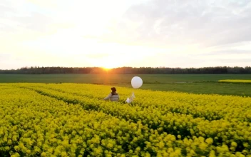 Stock Footage Walking On A Flower Field With A White Balloon At