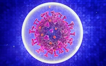 Stock Footage Virtual Representation Of A Virus