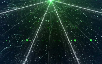 Stock Footage Virtual Network Of Artificial Intelligence Algorithms