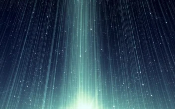 Stock Footage Virtual Data Rain D Animation