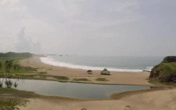Stock Footage Virgin Lonely Beach With A Palapa