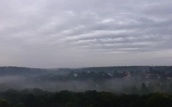 Stock Footage Village Fog In The Morning
