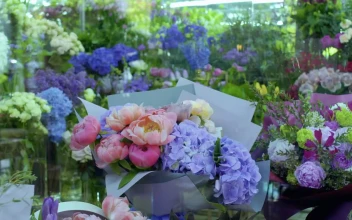 Stock Footage View To The Sideboard Of A Flower Shop