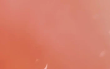 Stock Footage Vibrant Pink Abstract Water Viewed In Detail