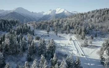 Stock Footage Vehicle Driving In A Road Covered In Snow