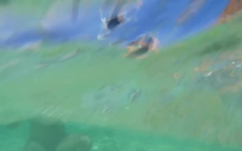 Stock Footage Using A Tablet Out In The Ocean