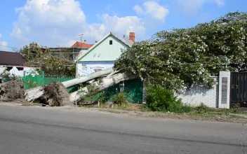 Stock Footage Urban Disaster After The Hurricane