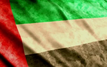 Stock Footage United Arab Emirates D Flag
