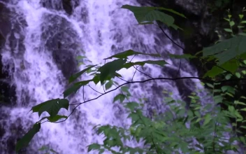 Stock Footage Unfocused Waterfall Shot In Slow Motion