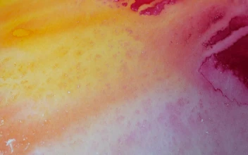 Stock Footage Undried Watercolor Art Texture