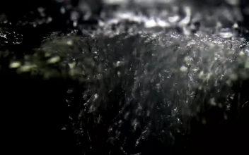Stock Footage Underwater Jet Of Bubbles