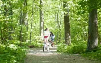Stock Footage Two Young Girls Riding Bicycles In The Forest Path