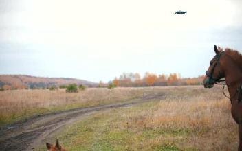 Stock Footage Two Woman Riding Horses On The Field And A Dog