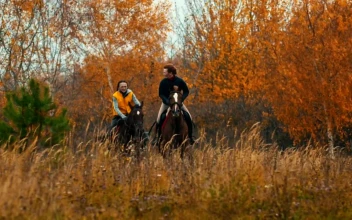 Stock Footage Two Woman Riding Horses In The Autumn Field