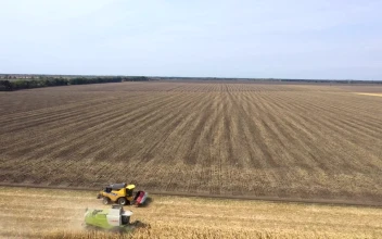 Stock Footage Two Tractors Harvesting Large Crop Fields