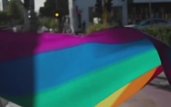Stock Footage Two Men Holding A Rainbow Flag