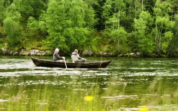 Stock Footage Two Men Fishing